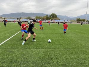 kalamatapaniwniosk19fasi8